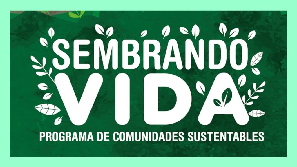 sembrando vida